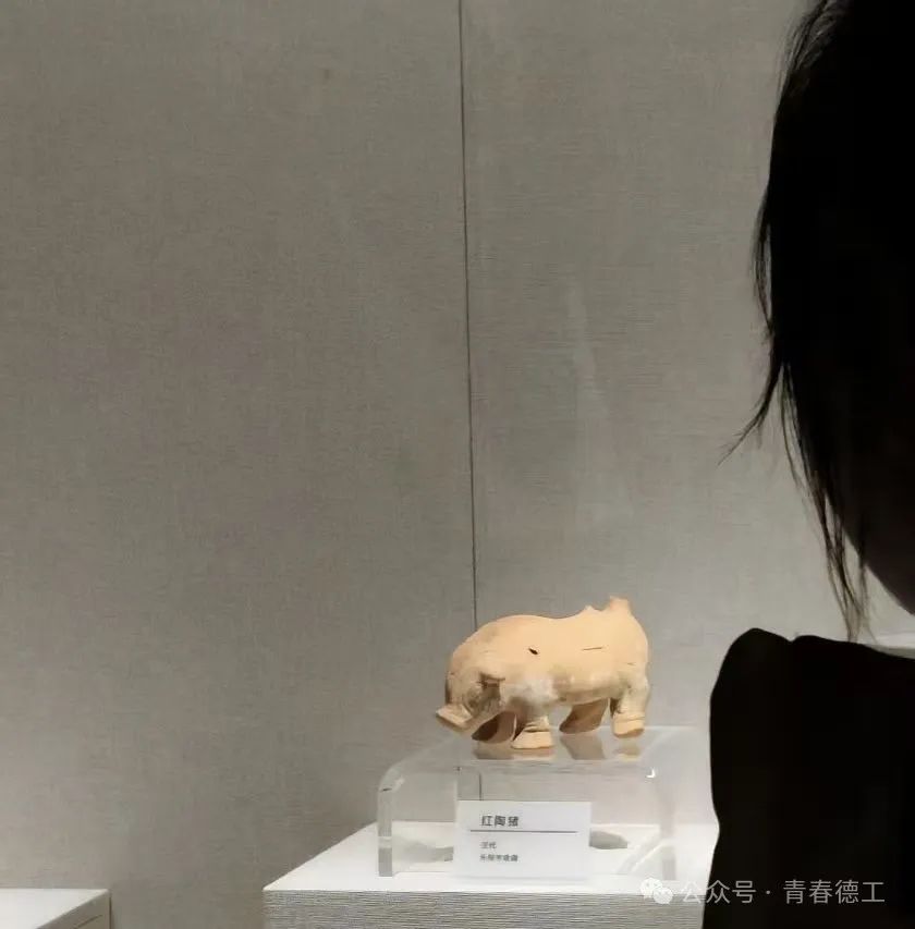 147.jpg