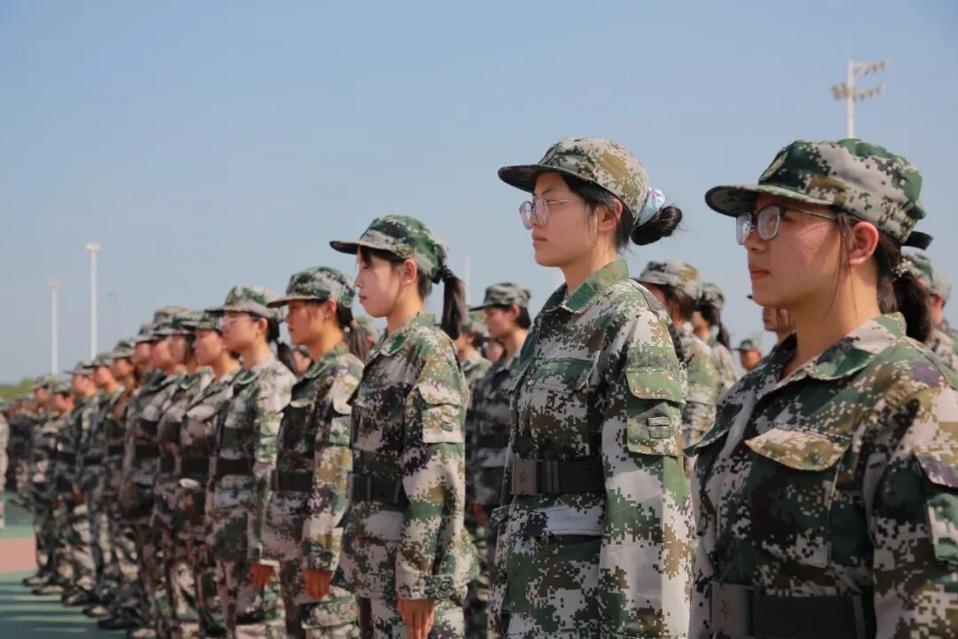 数贸2.jpg