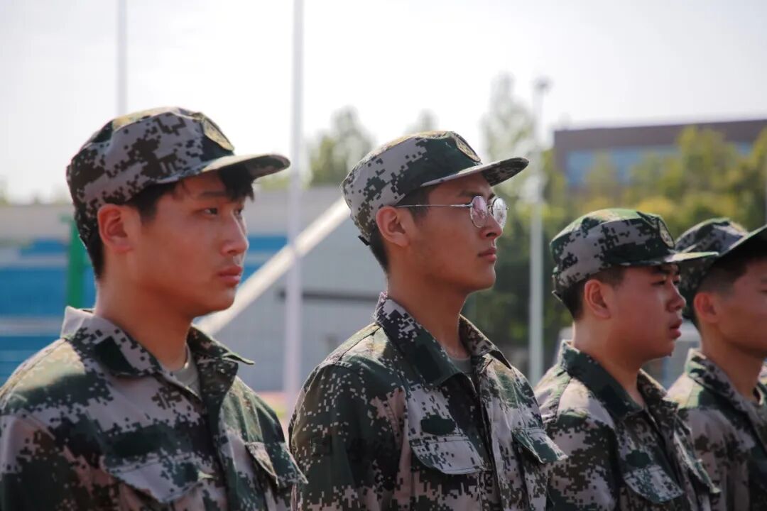 数贸1.jpg
